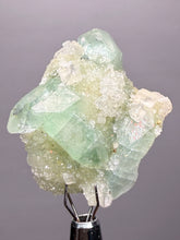 Load image into Gallery viewer, Luminous Mint Apophyllite with Glittering Druzy Sugar Quartz – India

