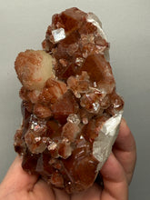 Load image into Gallery viewer, Rare Red Apophyllite + Druzy Red Stilbite Flowers — Deccan Traps, India
