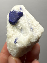 Load image into Gallery viewer, Afghan Lazurite Specimen | Deep Blue Lapis-Grade Crystal on Matrix | Collector Display Mineral
