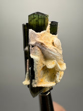 Load image into Gallery viewer, Green Cap Stak Nala Tourmaline with Cleavelandite – Haramosh Mountains, Pakistan | Thumbnail Specimen
