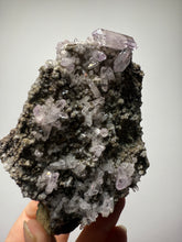 Load image into Gallery viewer, High-Grade Vera Cruz Amethyst — Ultra-Clear Terminated Crystal Collector Specimen | Veracruz, Mexico
