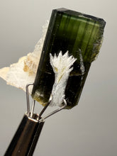 Load image into Gallery viewer, Green Cap Stak Nala Tourmaline with Cleavelandite – Haramosh Mountains, Pakistan | Thumbnail Specimen
