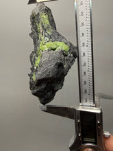 Load image into Gallery viewer, High-Grade Green Wavellite Collectors Specimen - Radiating Botryoidal Crystal Formation - Arkansas, USA
