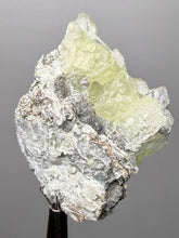 Load image into Gallery viewer, Vibrant Yellow Brucite Thumbnail Mineral Specimen | Collector Crystal from Killa Saifullah District in Balochistan Province, Pakistan
