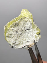 Load image into Gallery viewer, Vibrant Yellow Brucite Thumbnail Mineral Specimen | Collector Crystal from Killa Saifullah District in Balochistan Province, Pakistan
