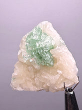 Load image into Gallery viewer, Green Radial “Disco Ball” Apophyllite | Maharashtra, India
