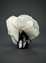 Load image into Gallery viewer, Dark Green Cap Stak Nala Tourmaline with Cleavelandite Flower – Haramosh Mountains, Pakistan | Thumbnail Specimen

