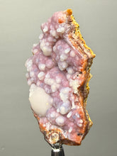 Load image into Gallery viewer, “Goblin Chalcedony” Pink and Red Druzy Botryoidal Stalactites — Tichka Massif, High Atlas, Morocco
