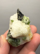 Load image into Gallery viewer, Electric Green Diopside on Quartz – Collector Mineral Specimen (Gilgit-Baltistan) Pakistan
