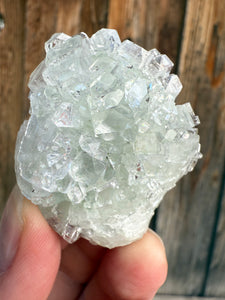 Light Mint Green Radial (Disco Ball) Apophyllite and Clear Heulandite • Maharashtra, India
