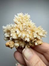 Load image into Gallery viewer, High-Grade Coral Aragonite Crystal Specimen – Wenshan Mine, Yunnan, China
