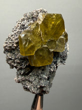 Load image into Gallery viewer, Vibrant Yellow Barite | Collector Display Specimen | Taourirt Mine, Morocco
