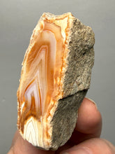 Load image into Gallery viewer, Premium Sumatra Agate (Banded Chalcedony) Display Specimen | Indonesia
