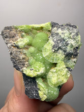 Load image into Gallery viewer, High-Grade Green Wavellite Collectors Specimen - Radiating Botryoidal Crystal Formation - Arkansas, USA
