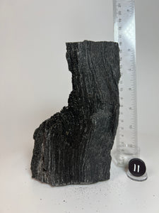 Black Druzy Petrified Wood from Indonesia