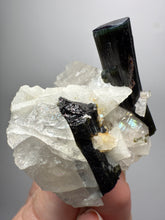 Load image into Gallery viewer, Blue Cap Dark Green Stak Nala Tourmaline and Quartz on Cleavelandite Matrix – Haramosh Mountains, Pakistan
