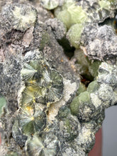 Load image into Gallery viewer, High-Grade Green Wavellite Collectors Specimen - Radiating Botryoidal Crystal Formation - Arkansas, USA
