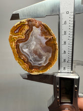 Load image into Gallery viewer, High-Grade Turkish Agate with Botryoidal Chalcedony Vug – Rare Collector’s Gem
