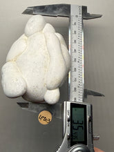 Load image into Gallery viewer, Chichaoua Menalite “Fairy Stone” Concretion | Natural Collector Display Specimen | Morocco
