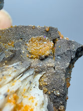 Load image into Gallery viewer, Natural Vanadinite on Matrix | Collector Mineral Specimen | Morocco
