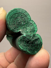 Load image into Gallery viewer, 4.9” High-Grade Malachite Stalactite “Cave” Formation | DR Congo | Mineral Collector Specimen | REPAIRED
