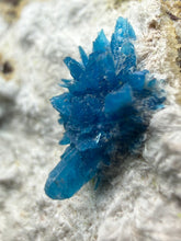 Load image into Gallery viewer, Rare Electric Blue Pentagonite on Druzy Matrix – Collector Mineral Specimen | India
