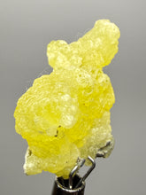 Load image into Gallery viewer, Vibrant Yellow Brucite Thumbnail Mineral Specimen | Collector Crystal from Killa Saifullah District in Balochistan Province, Pakistan
