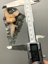 Load image into Gallery viewer, Pink Stilbite Druzy on Botryoidal Black Chalcedony | India | High-Grade Mineral Collector Specimen
