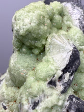 Load image into Gallery viewer, High-Grade Green Wavellite Collectors Specimen - Radiating Botryoidal Crystal Formation - Arkansas, USA
