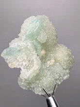 Load image into Gallery viewer, Luminous Mint Apophyllite with Glittering Druzy Sugar Quartz – India
