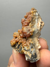 Load image into Gallery viewer, Natural Vanadinite on Matrix | Collector Mineral Specimen | Morocco
