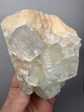 Load image into Gallery viewer, High-Grade Apophyllite on Pink Stilbite Zeolite | Indian Collector Mineral Specimen
