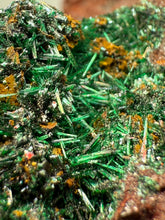 Load image into Gallery viewer, Brochantite Collector Mineral Specimen – Vivid Green Copper Crystals from Morocco
