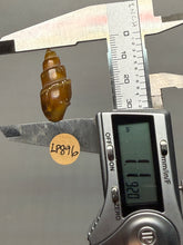 Load image into Gallery viewer, Agatized Gastropod Fossil Specimen | Morocco
