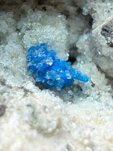 Load image into Gallery viewer, Rare Electric Blue Cavansite on Druzy Matrix – Collector Mineral Specimen | India
