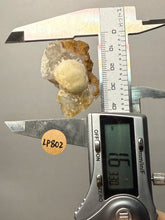 Load image into Gallery viewer, Rare Botryoidal Yellow Fluorite on Quartz Matrix  Collector Mineral Specimen – Maharashtra, India
