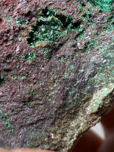 Load image into Gallery viewer, Brochantite Collector Mineral Specimen – Vivid Green Copper Crystals from Morocco
