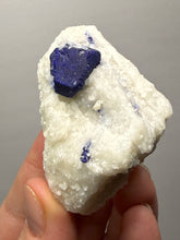 Load image into Gallery viewer, Afghan Lazurite Specimen | Deep Blue Lapis-Grade Crystal on Matrix | Collector Display Mineral
