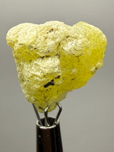 Load image into Gallery viewer, Vibrant Yellow Brucite Thumbnail Mineral Specimen | Collector Crystal from Killa Saifullah District in Balochistan Province, Pakistan
