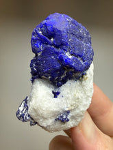 Load image into Gallery viewer, Afghan Lazurite Specimen | Deep Blue Lapis-Grade Crystal on Matrix | Collector Display Mineral
