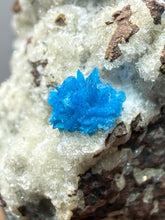 Load image into Gallery viewer, Rare Electric Blue Pentagonite on Druzy Matrix – Collector Mineral Specimen | India
