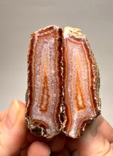 Load image into Gallery viewer, High-Grade Indonesian Sumatra Agate Pair – Vibrant Banded Chalcedony with Rich Color Zoning | Ethical Lapidary &amp; Collector Display Specimens
