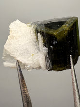 Load image into Gallery viewer, Green Cap Stak Nala Tourmaline with Cleavelandite – Haramosh Mountains, Pakistan | Thumbnail Specimen
