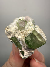 Load image into Gallery viewer, Watermelon Tourmaline on Quartz Matrix – Collector Mineral Specimen from Pakistan
