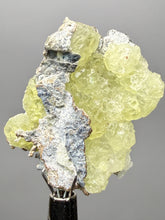 Load image into Gallery viewer, Vibrant Yellow Brucite Thumbnail Mineral Specimen | Collector Crystal from Killa Saifullah District in Balochistan Province, Pakistan
