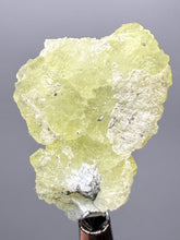 Load image into Gallery viewer, Vibrant Yellow Brucite Thumbnail Mineral Specimen | Collector Crystal from Killa Saifullah District in Balochistan Province, Pakistan
