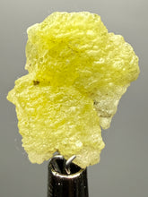 Load image into Gallery viewer, Vibrant Yellow Brucite Thumbnail Mineral Specimen | Collector Crystal from Killa Saifullah District in Balochistan Province, Pakistan
