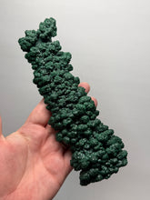 Load image into Gallery viewer, 7.1” Museum-Grade Druzy Malachite Stalactite “Cave” Formation | DR Congo | Mineral Collector Specimen
