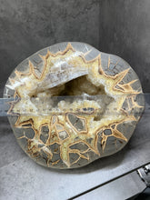 Load image into Gallery viewer, Septarian Nodule with Golden Barite Gems from Utah
