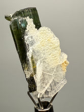 Load image into Gallery viewer, Green Cap Stak Nala Tourmaline with Cleavelandite – Haramosh Mountains, Pakistan | Thumbnail Specimen
